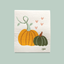 Pumpkin Swedish Dish Cloth